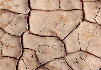 However, drought also causes the clay soil to shrink